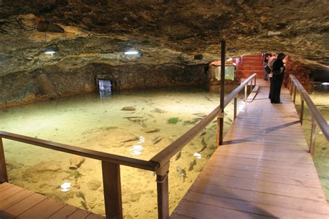 aquarium ibiza